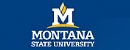 蒙大拿州立大学波兹曼分校 - Montana State University